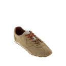 Aster crosta di pelle