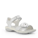 Pbr 7594 pbr 13786 pbr 33892