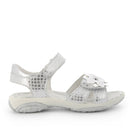 Pbr 7594 pbr 13786 pbr 33892