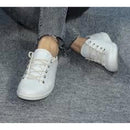 Ecco soft 2.0