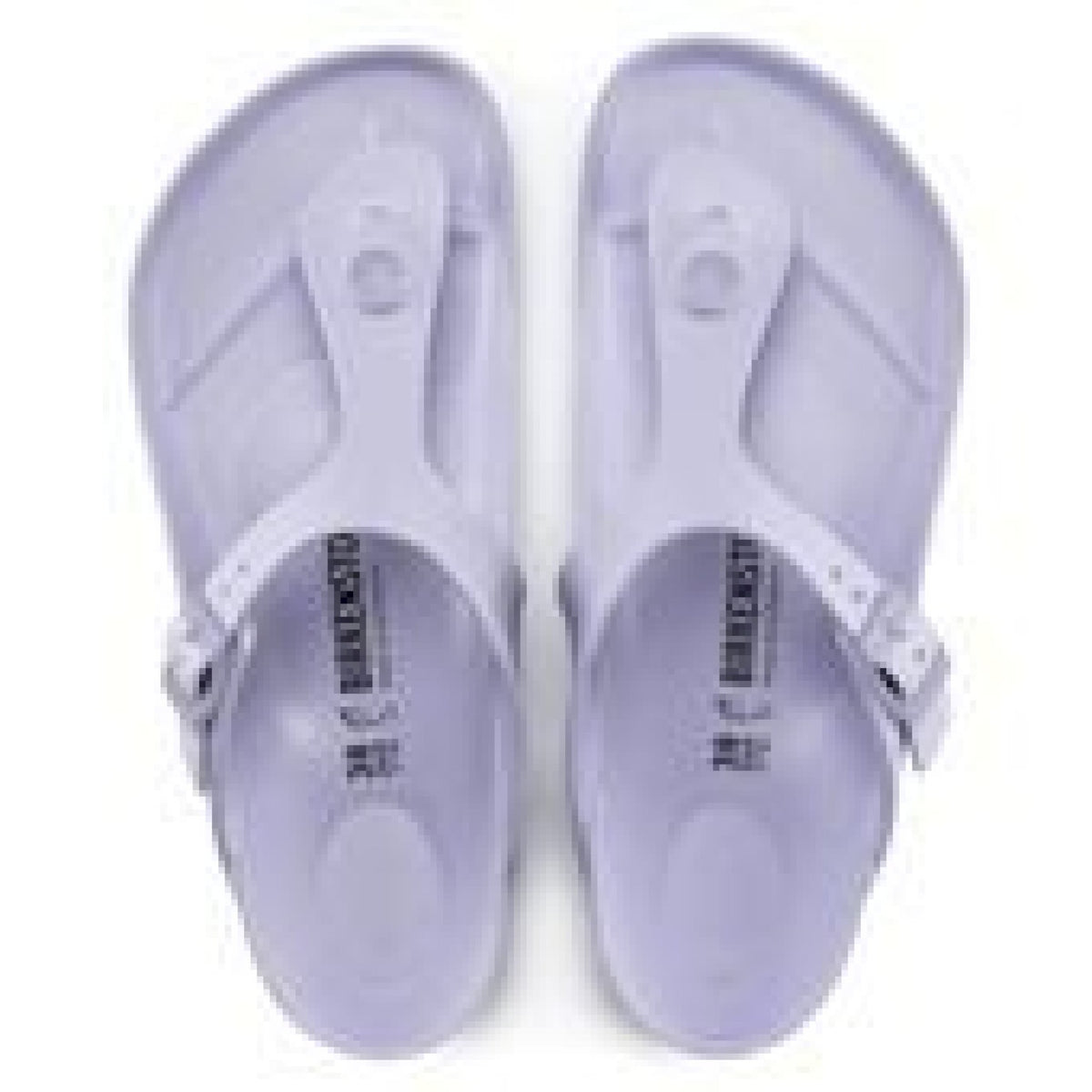 Birkenstock gizeh eva purple