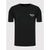 Armani t-shrit logo tre colori