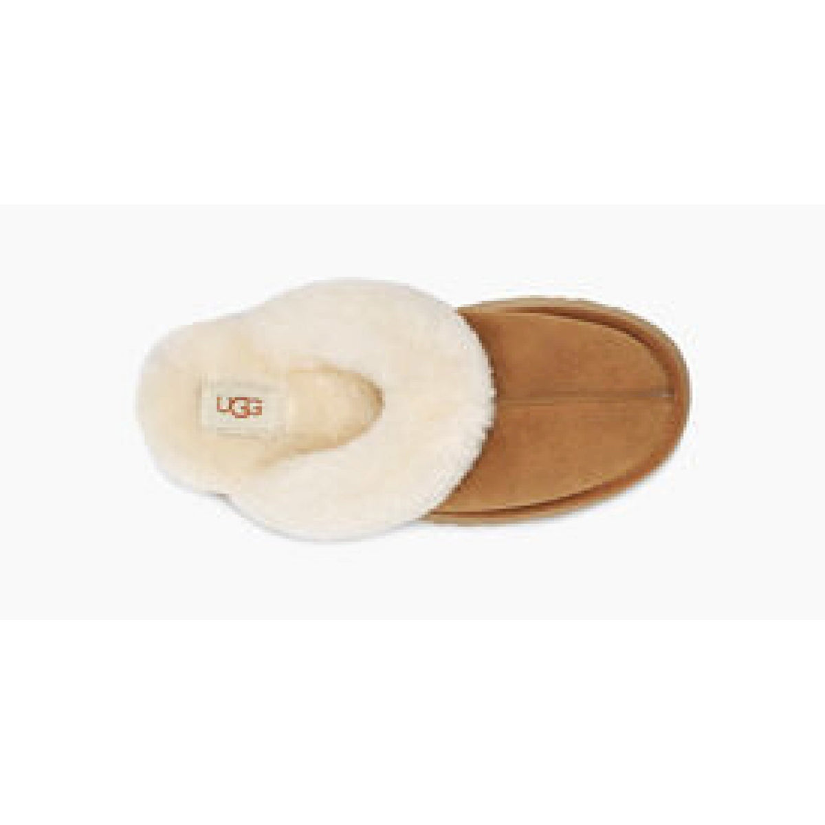 Ugg disquette