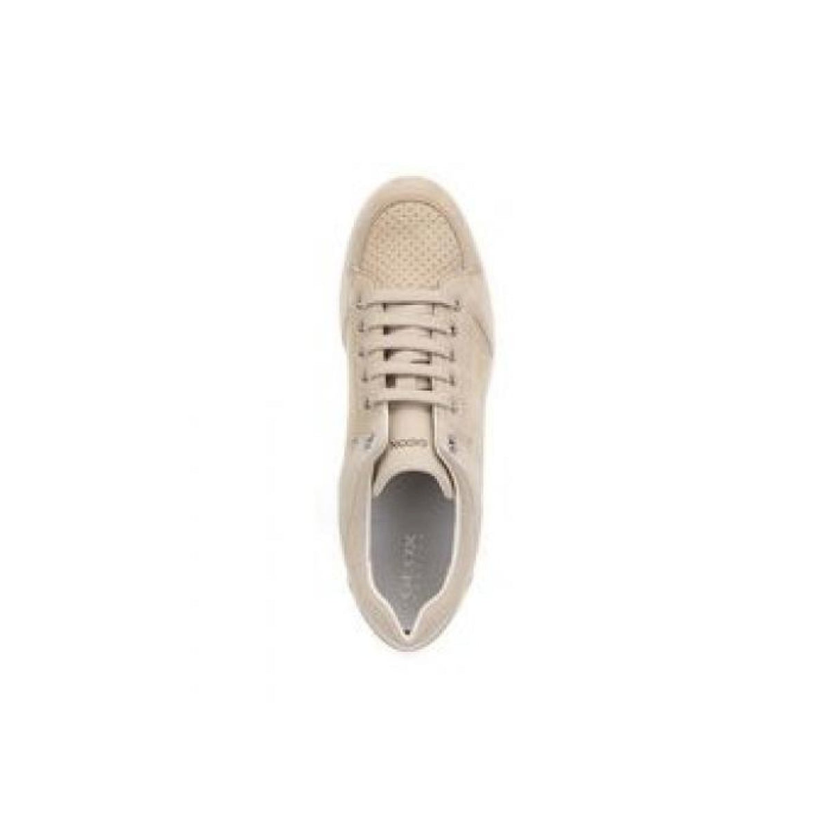 Stardust sneakers zeppa