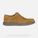 Errico sebago