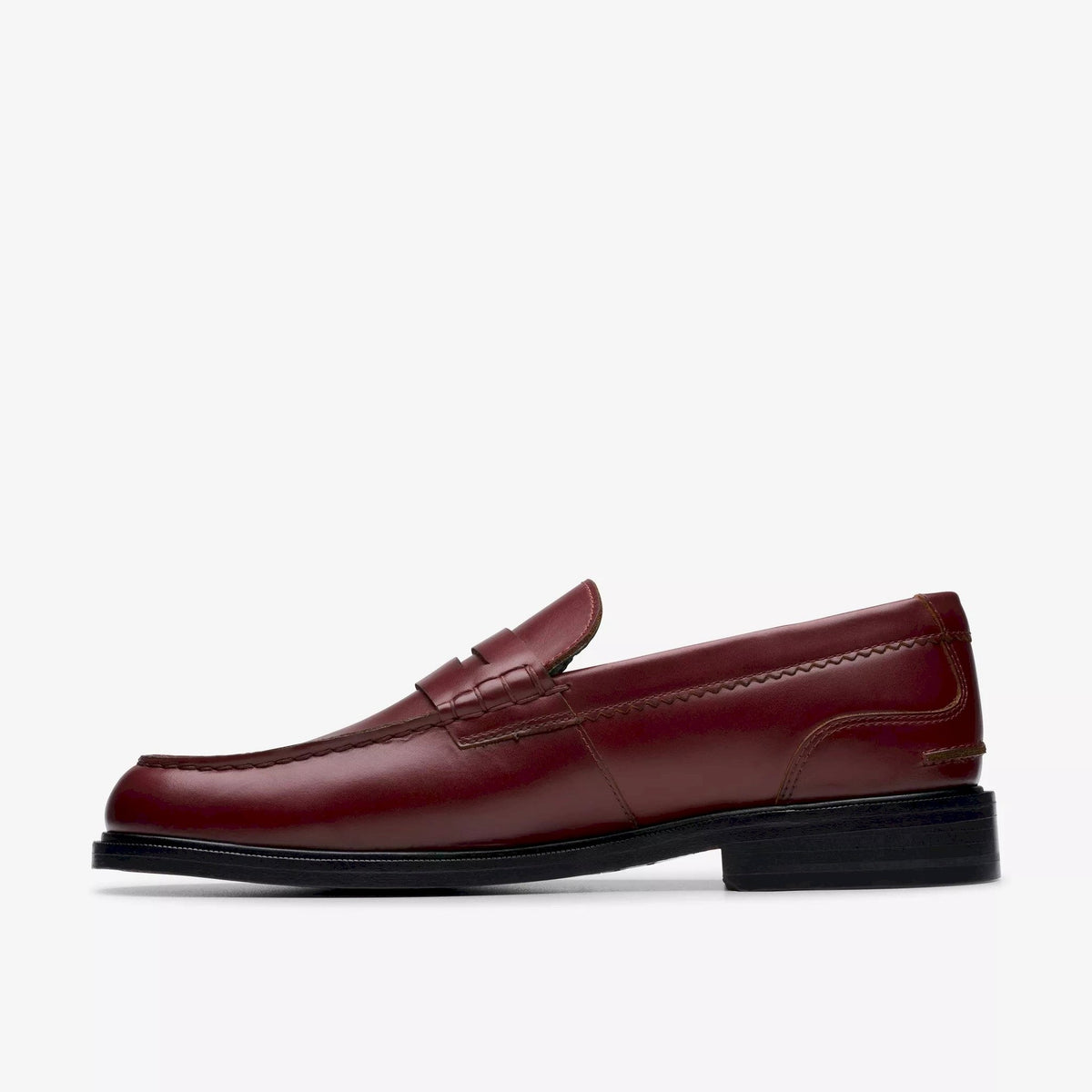 Beary loafer
