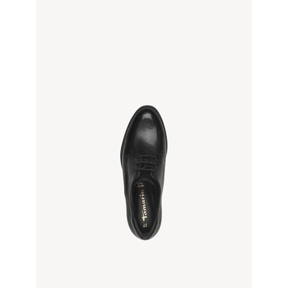 Scarpa derby