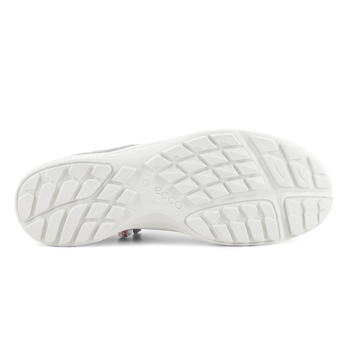 Terracruise lt w breathru