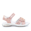 Pbr 7594  pbr 13786 pbr 33892