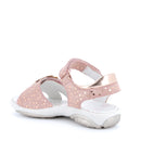 Pbr 7594  pbr 13786 pbr 33892