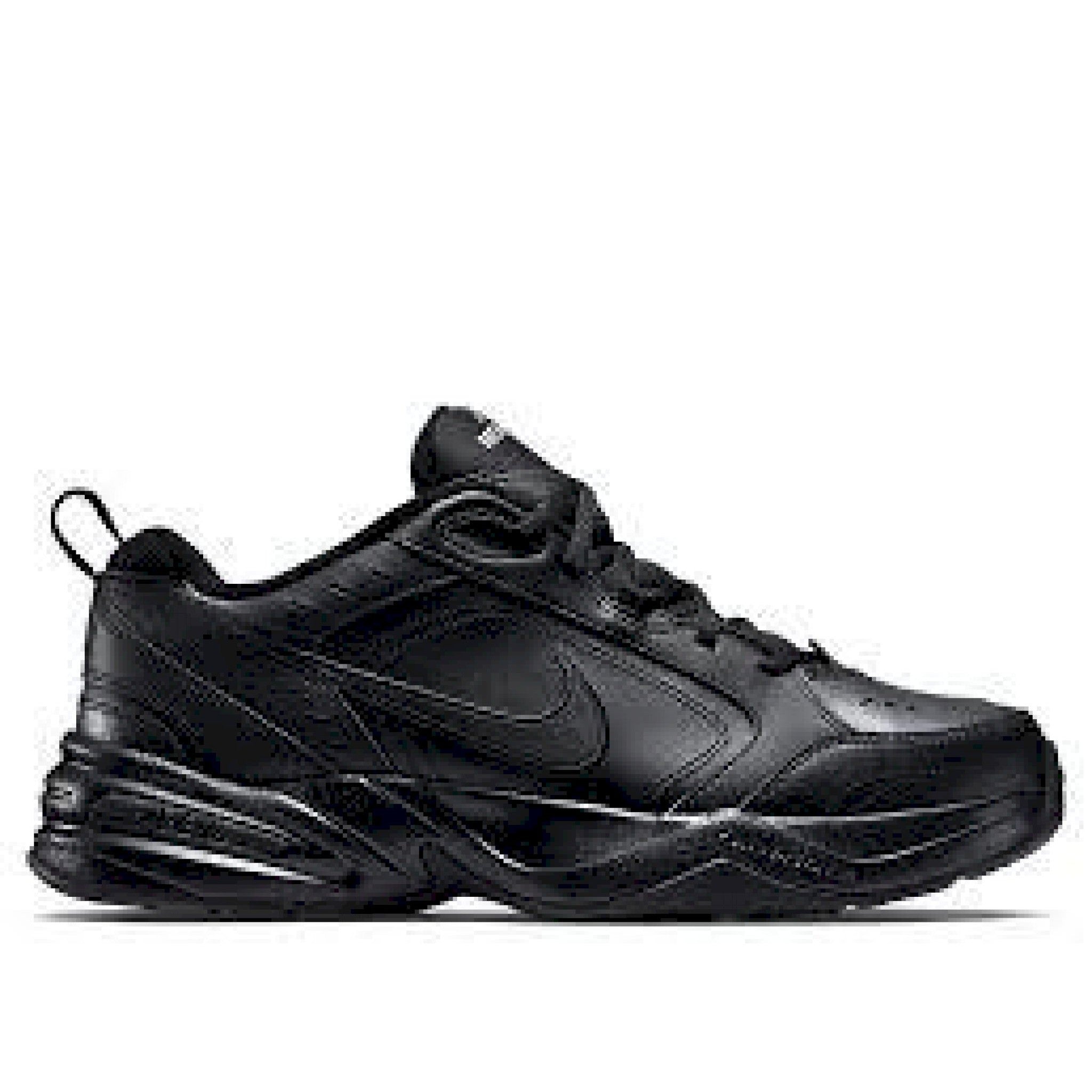 Air monarch iv