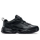 Air monarch iv