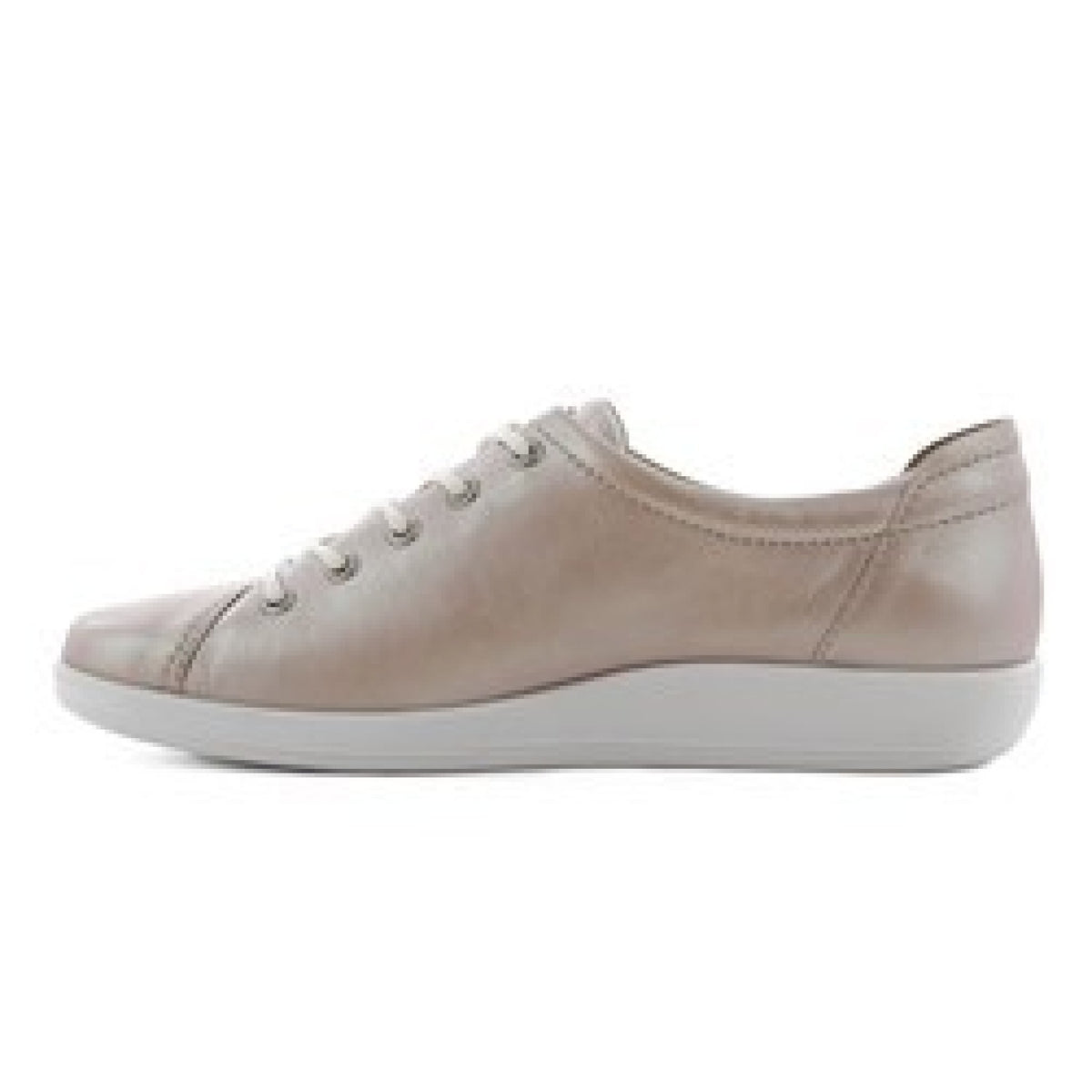Ecco  soft 2.0