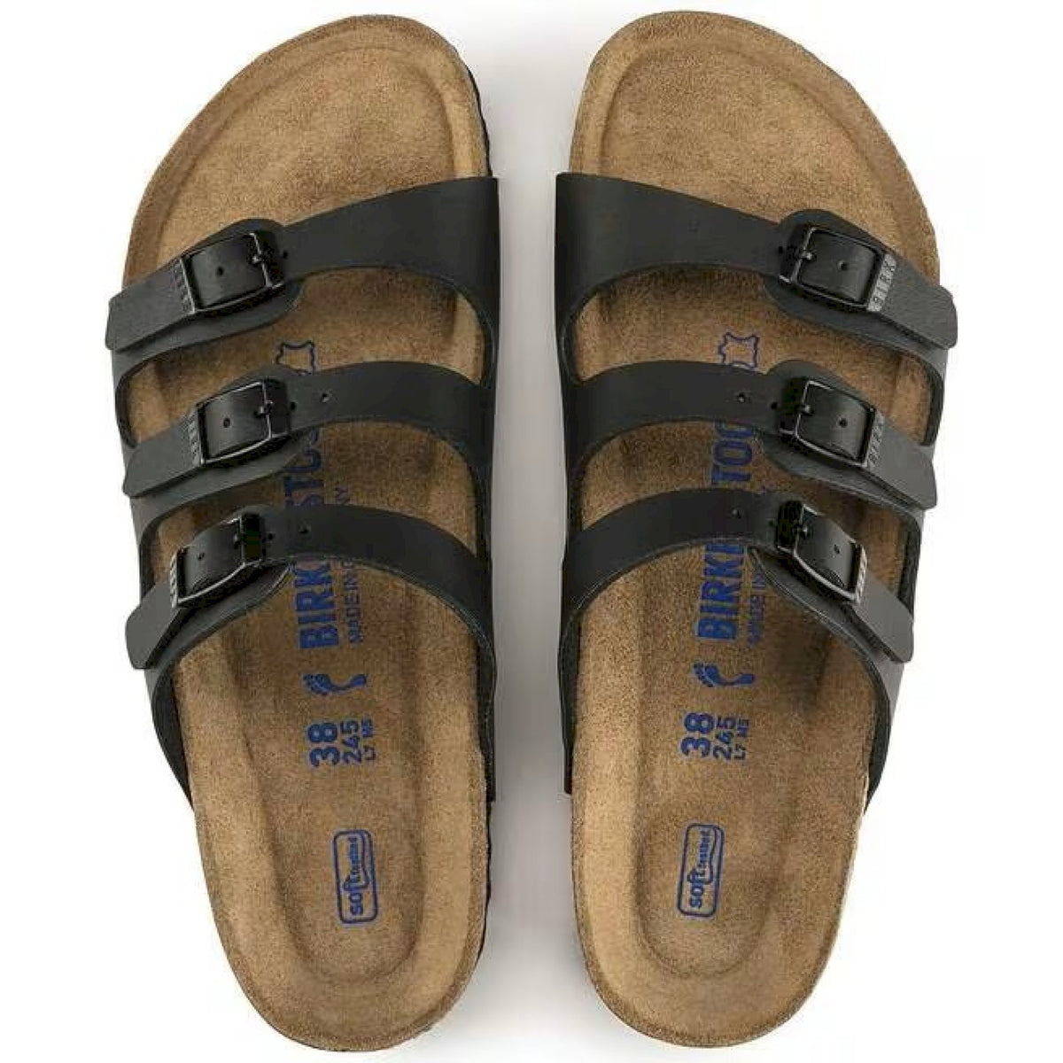 Florida sfb black, birko flor