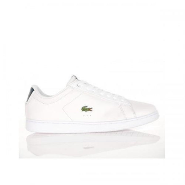 Carnaby  evo crt     