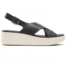 D15 mpb  saldalo laudara