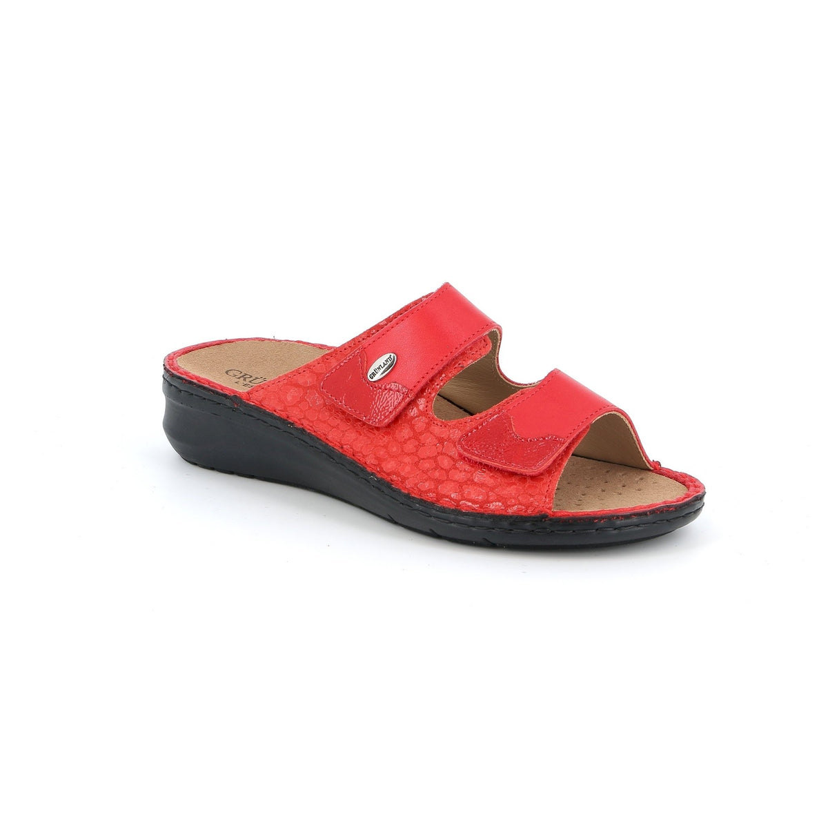 Ce0256