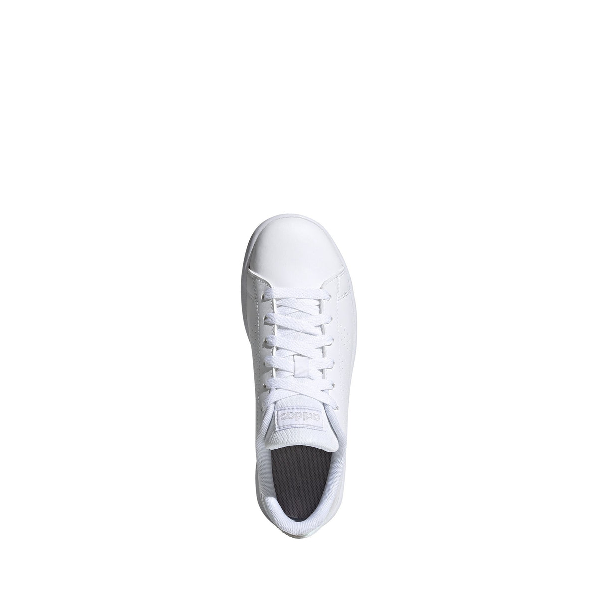 Adidas advantage k