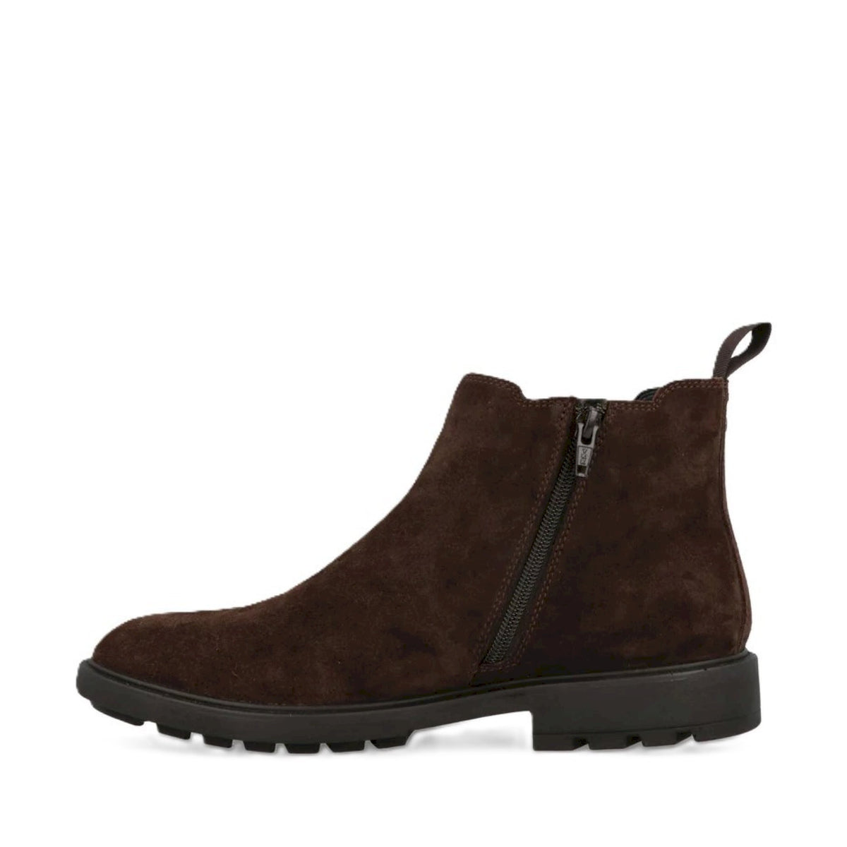 Cipriani chelsea suede
