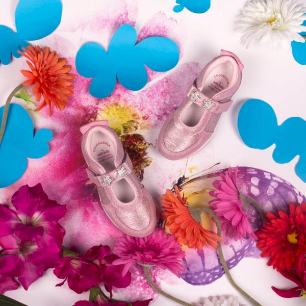 Ballerina colorissima