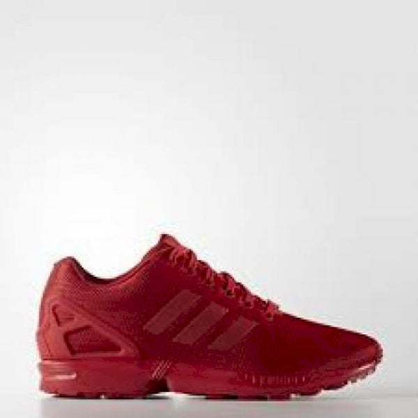 Zx flux