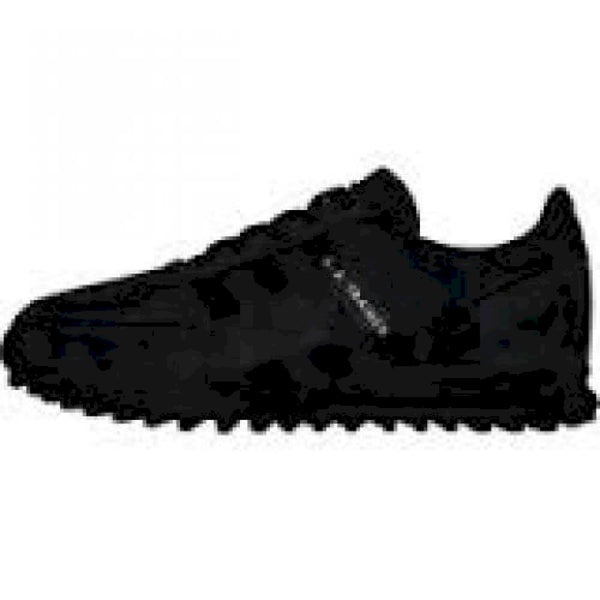 La trainer wv