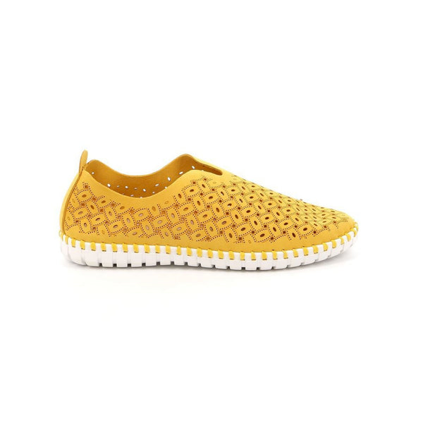Scarpa  donna  magi  traforata