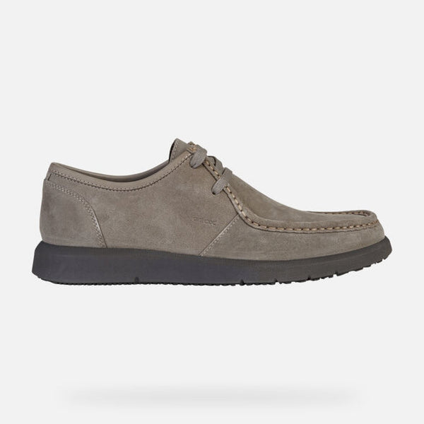 Errico sebago