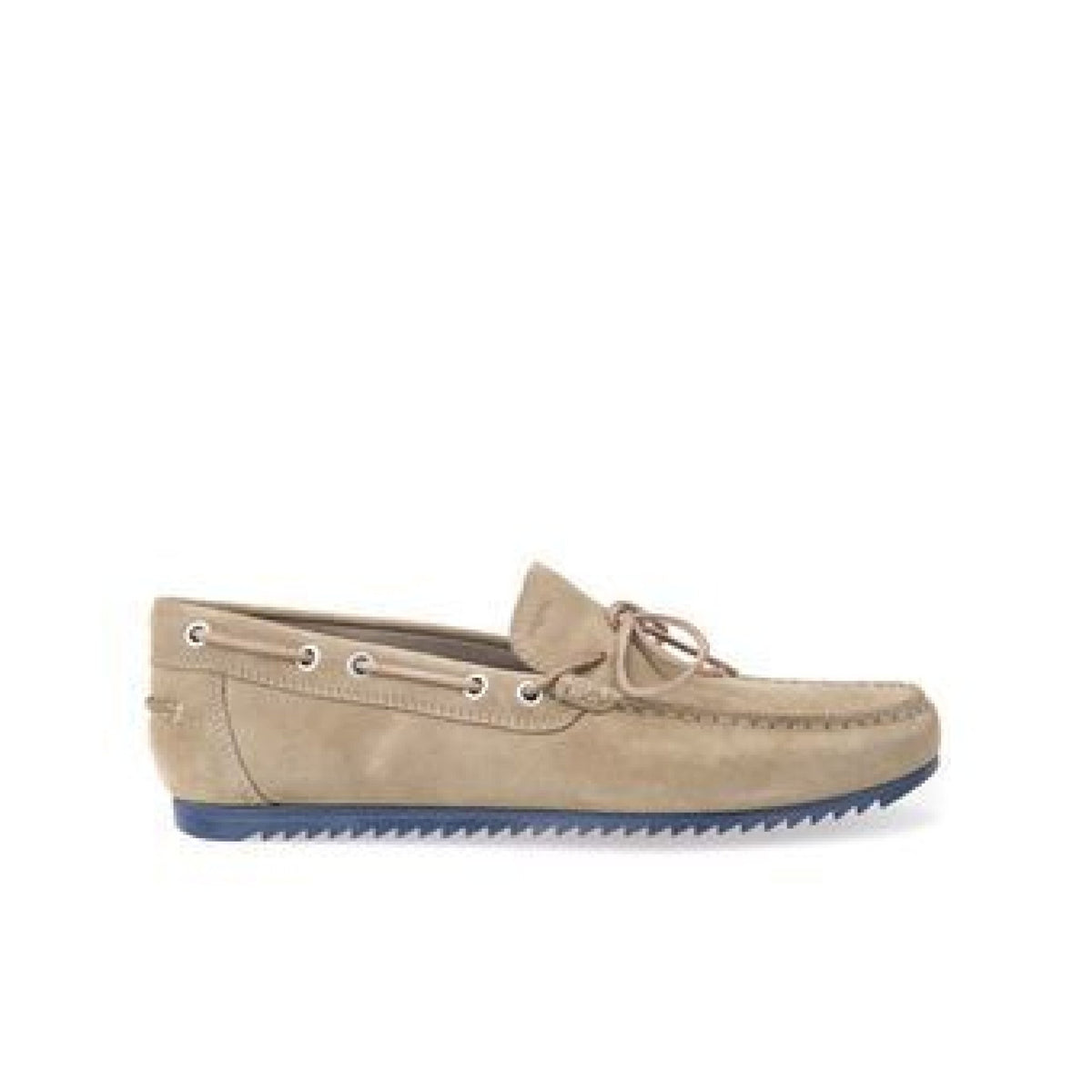 Shark mocassino